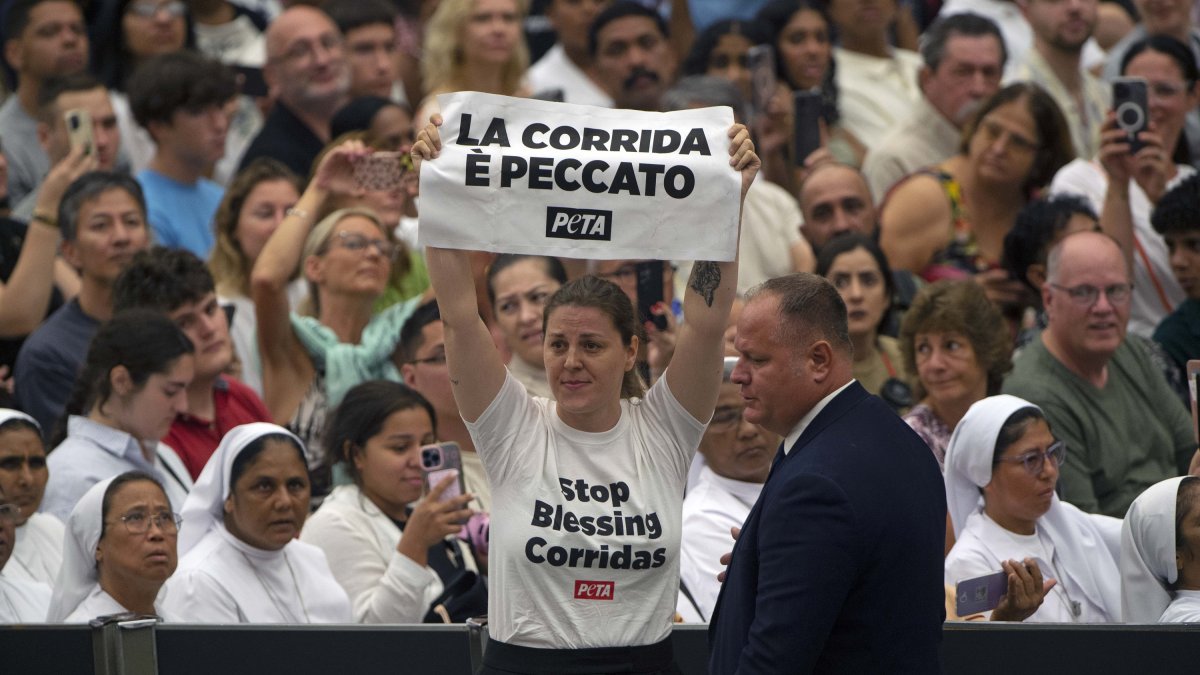 Una de las protestantes de PETA que irrumpió en el salón de Pablo VI durante una audiencia del papa Francisco el 7 de agosto de 2024.
