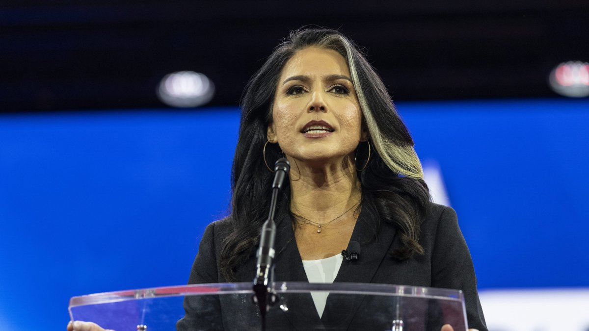 Tulsi Gabbard, in a file photo.