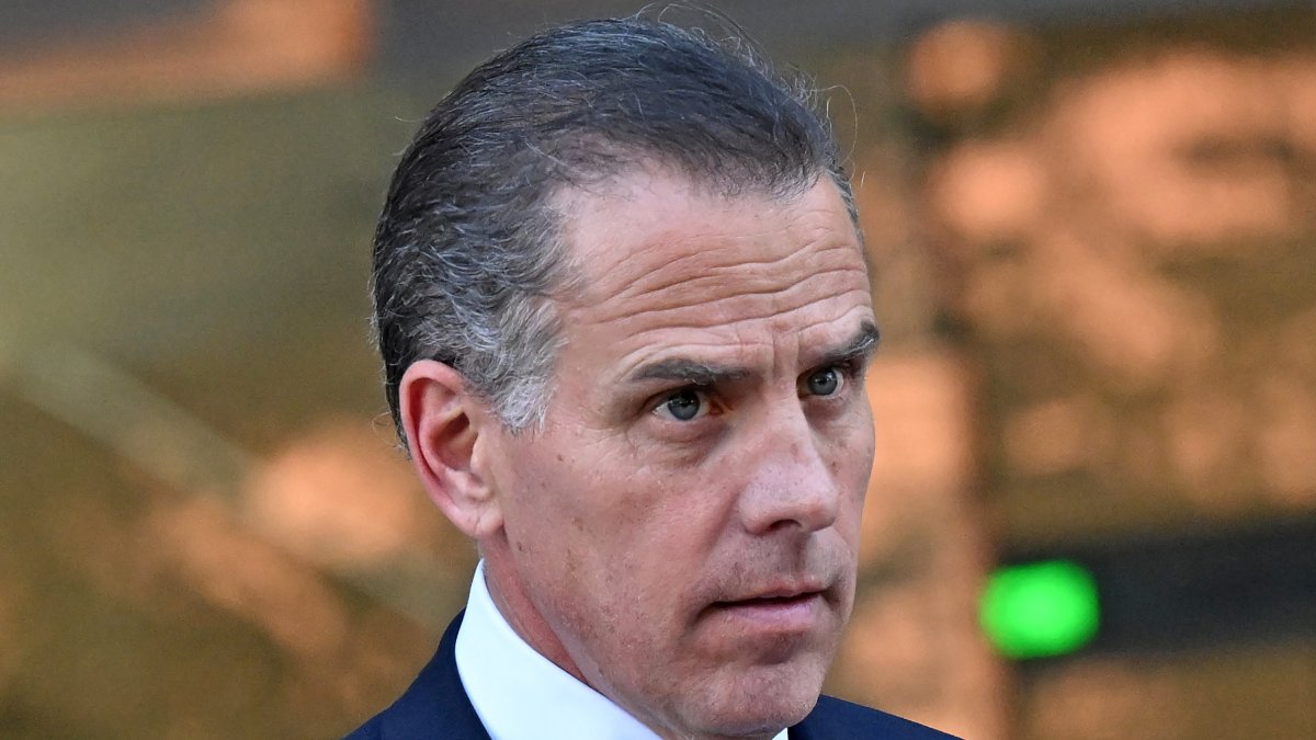 Hunter Biden pleaded guilty to nine tax offenses/Robyn Beck
