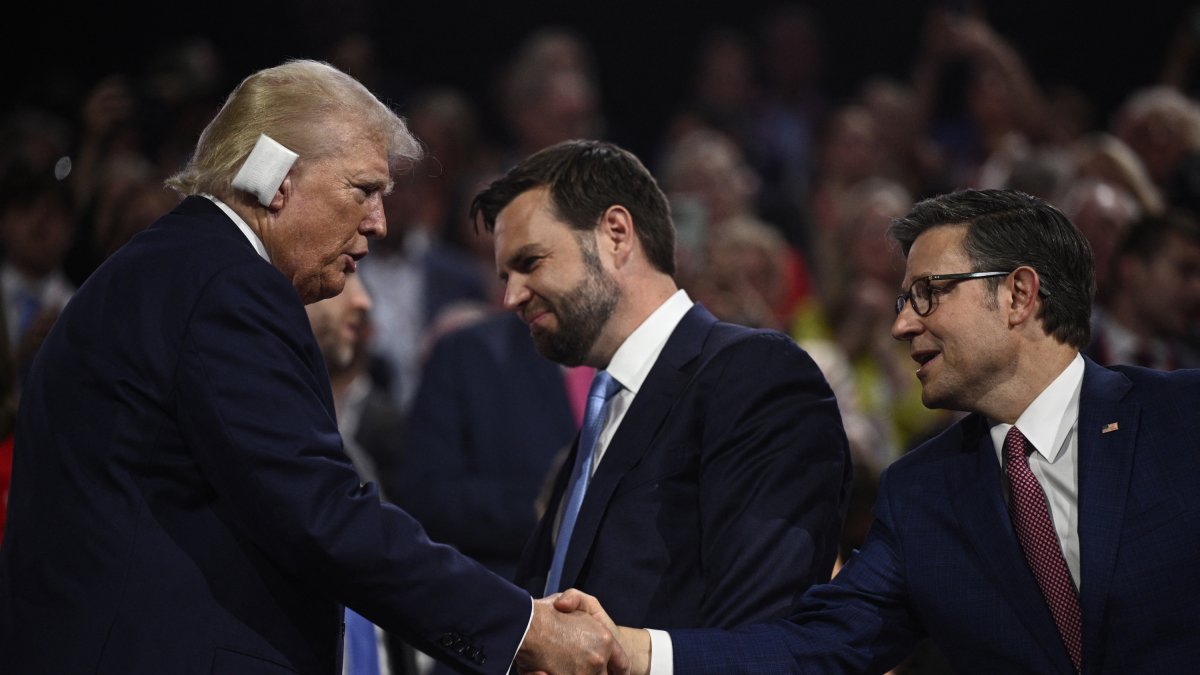 Donald Trump shakes hands with Rep. Mike Johnson