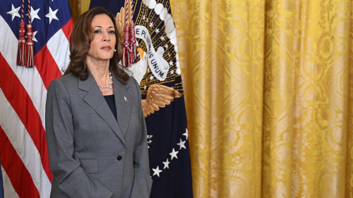 In contrast with this new stance on the southern border, Harris proposed in 2019 to decriminalize border crossings/ Saul Loeb