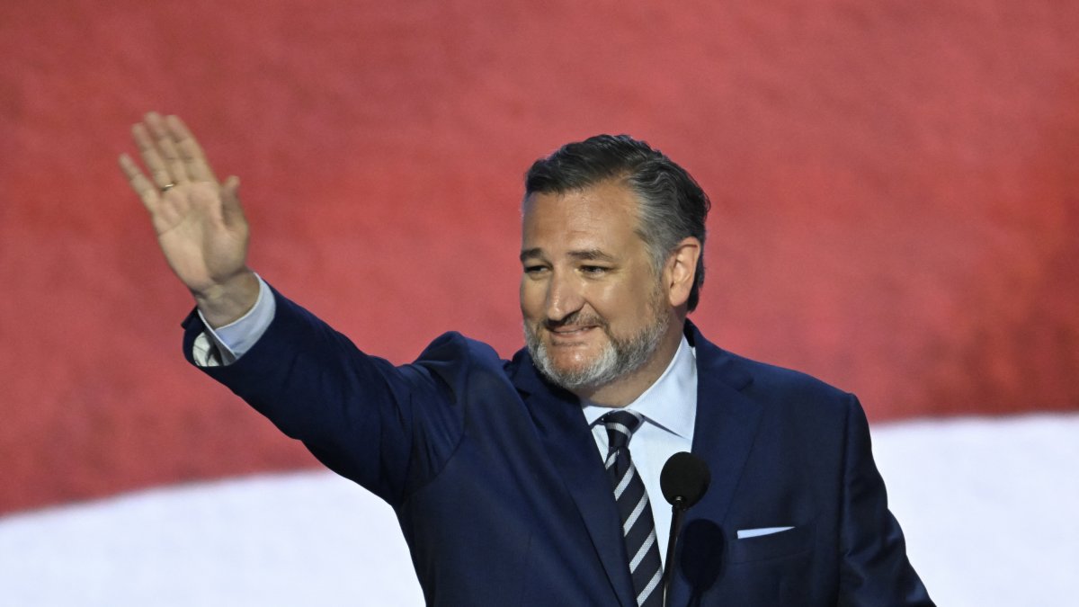 Ted Cruz busca su tercer mandato en el Senado/ Andrew Caballero- Reynolds