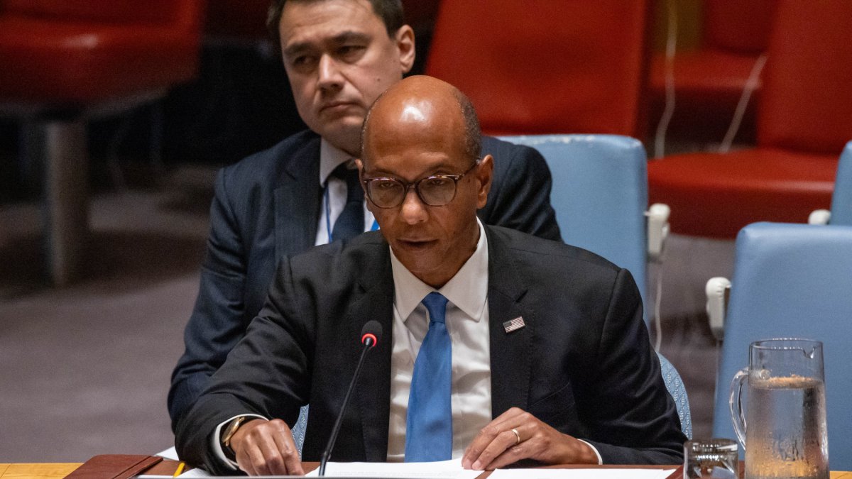 Robert Wood ante el Consejo de Seguridad de la ONU