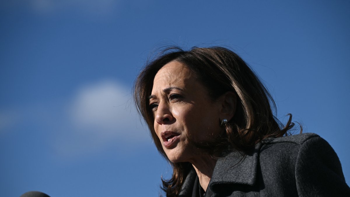 Harris perdería al menos cuatro puntos entre los indio-americanos comparado con el 2020/ Brendan Smialowski