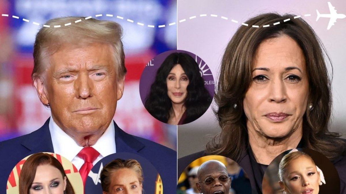 Donald Trump, Kamala Harris, Cher, Shophie Turner, y otros artistas