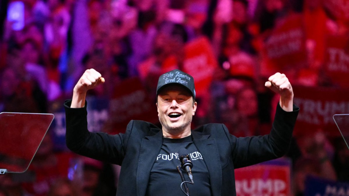 Elon Musk during a Donald Trump rally