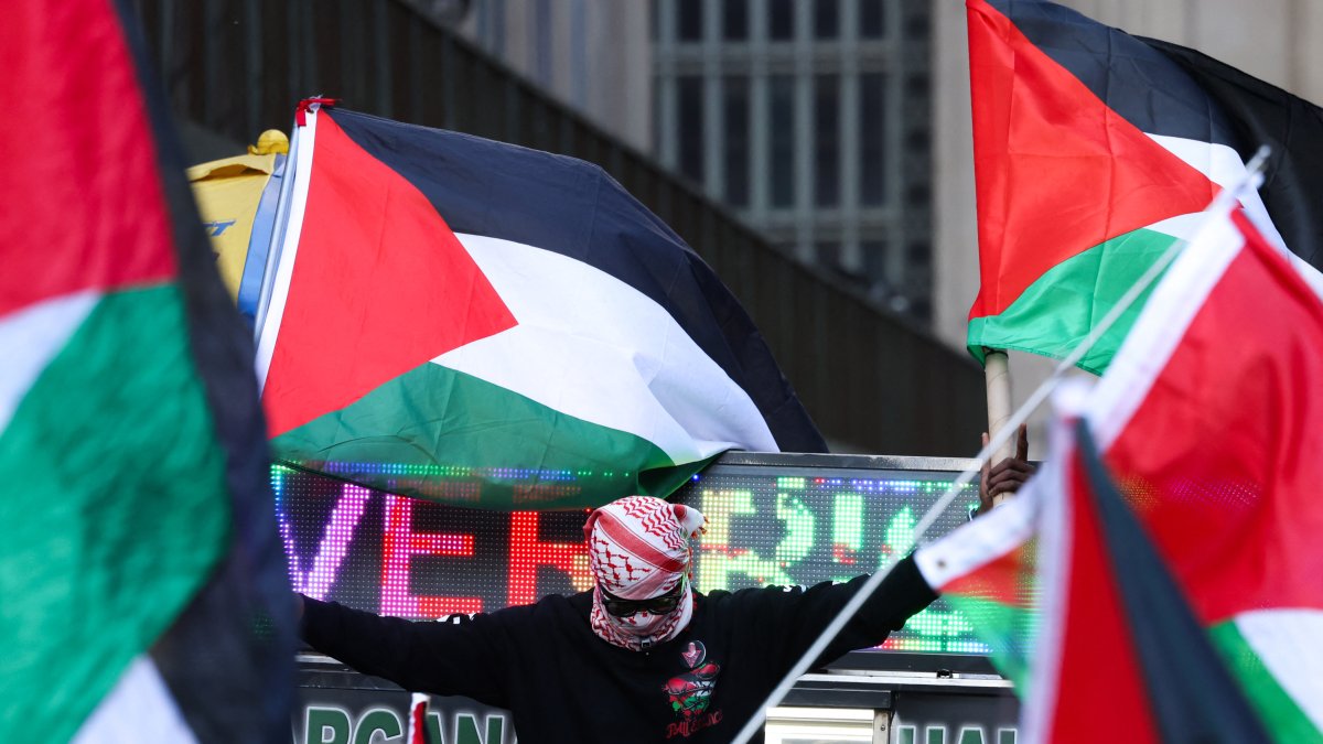 Anti-Israel protesters in a photo (Archive)