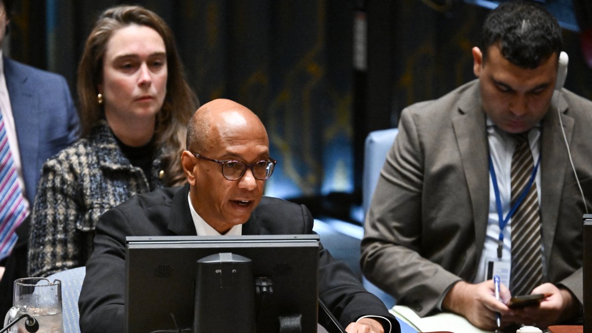 Robert Wood, embajador adjunto de EEUU ante la ONU