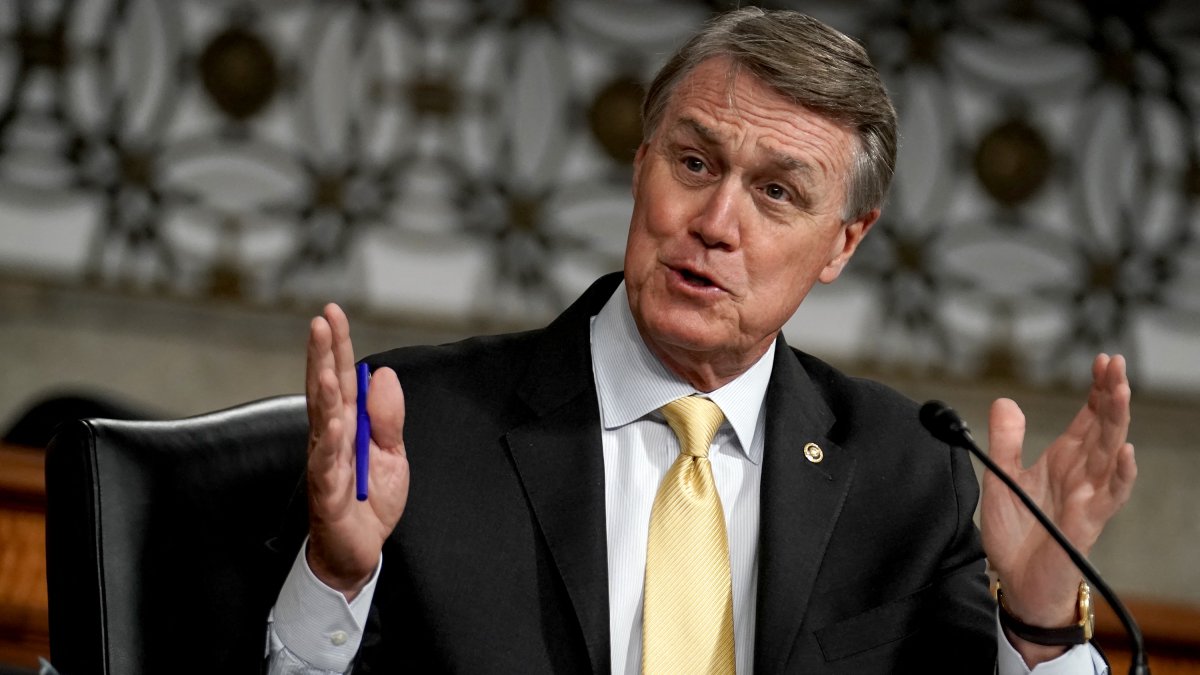 David Perdue in a file image