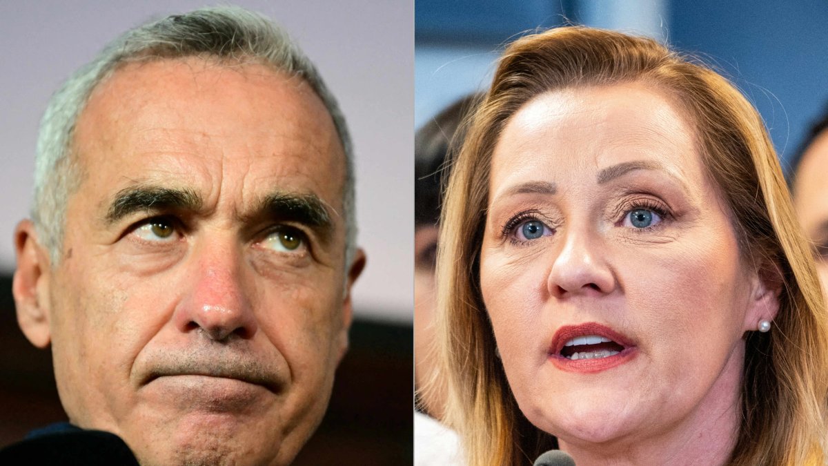 Calin Georgescu y Elena Lasconi