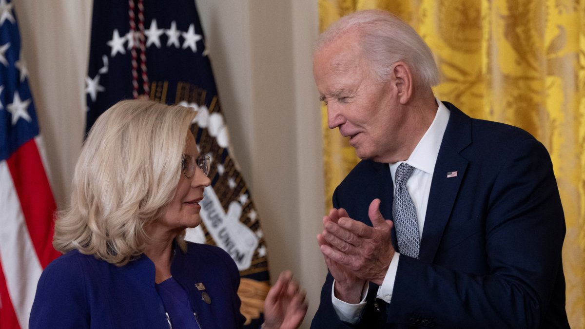 Cheney endorsed Kamala Harris in presidential election/ Chris Kleponis