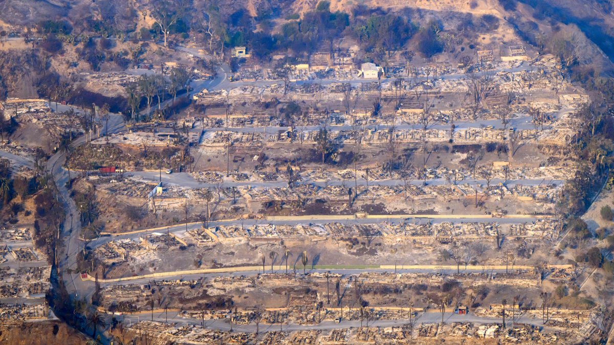 Aerial view of some of the destruction caused by the Palisades Fire.