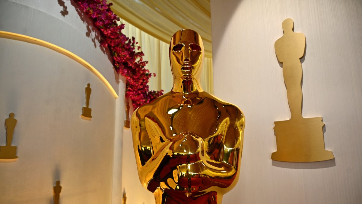 Oscars Awards Gala-File Image.