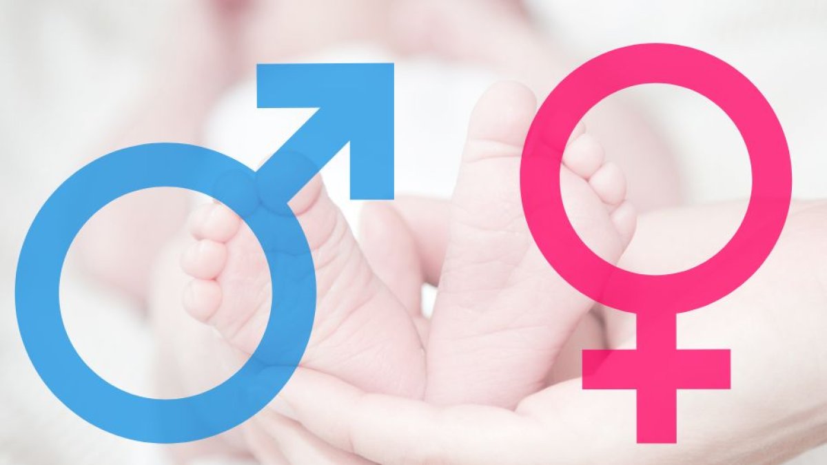 Gender masculine and femenine