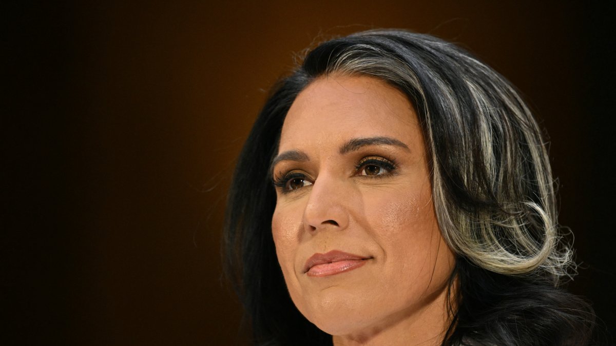Tulsi Gabbard in a file image