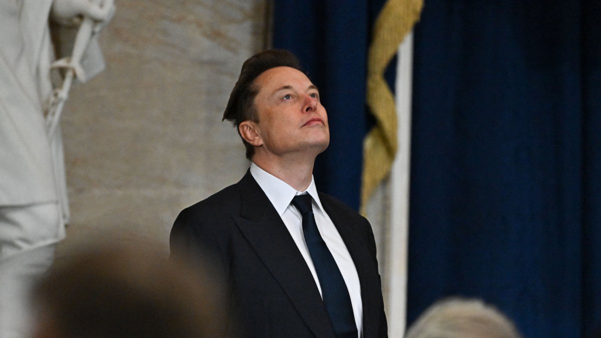 Tesla's chief executive at the U.S. Capitol.
