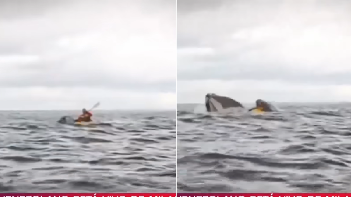 Video de Adrián Simancas tragado por una ballena