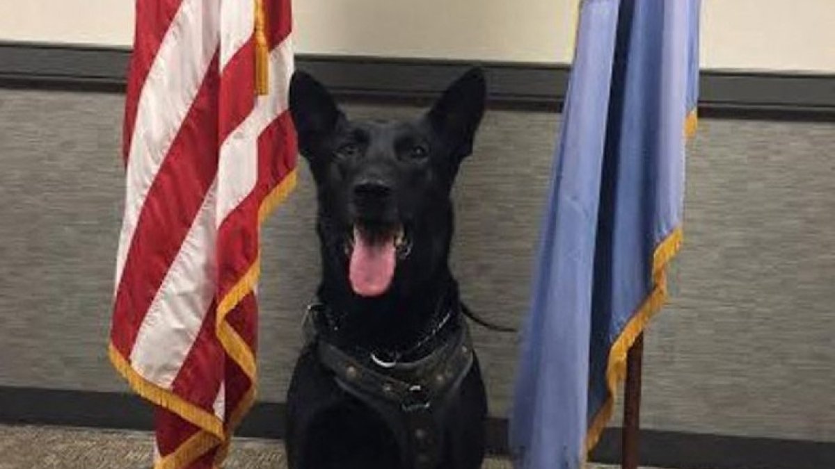 Hurricane, en una imagen de archivo.