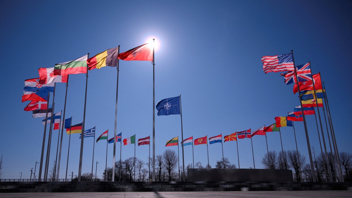 Banderas de los países miembros de la OTAN.