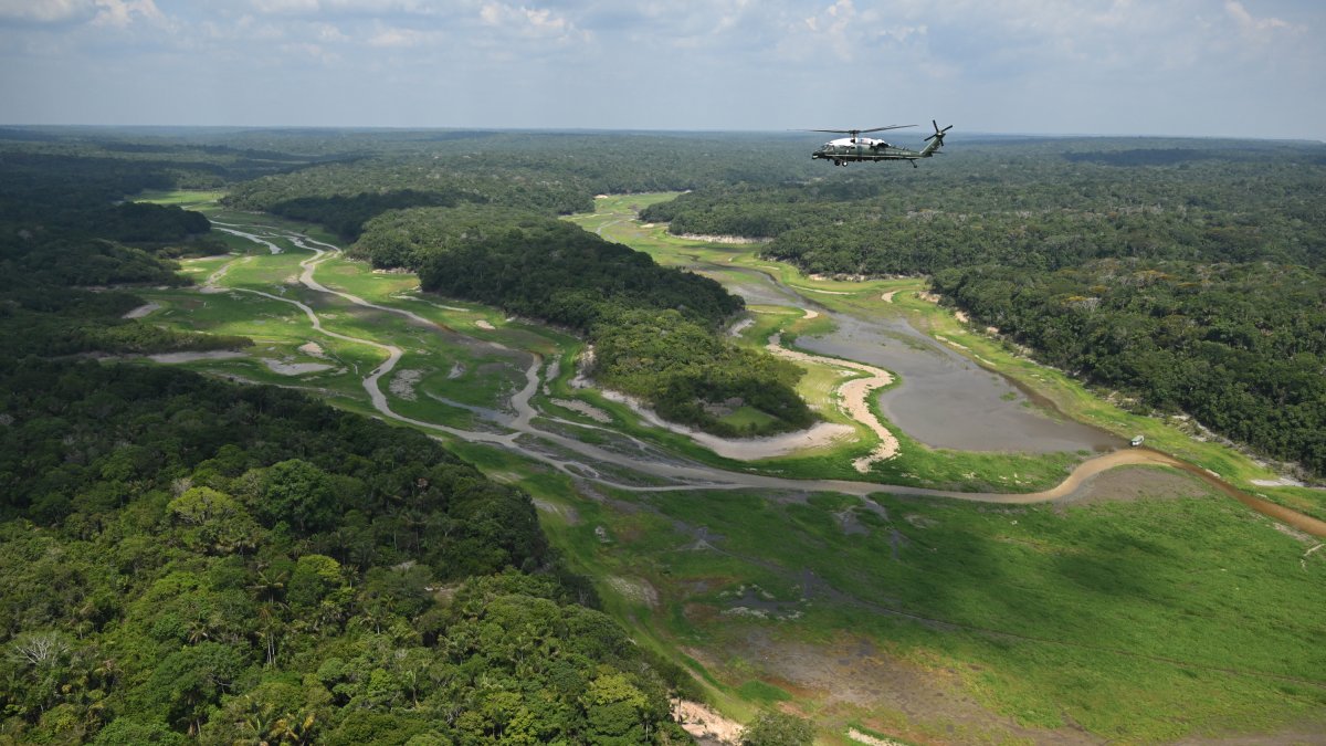 Selva del Amazonas