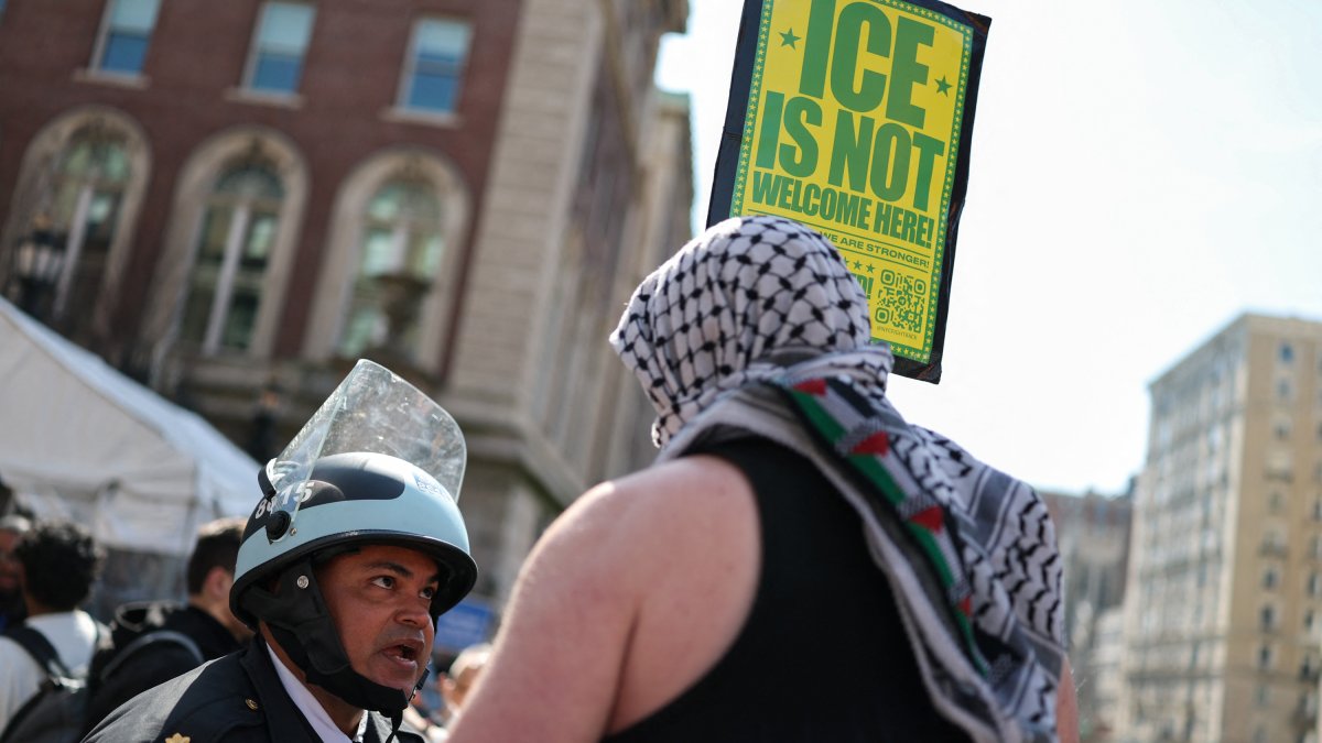 Protester argues with police at anti-Israel protest