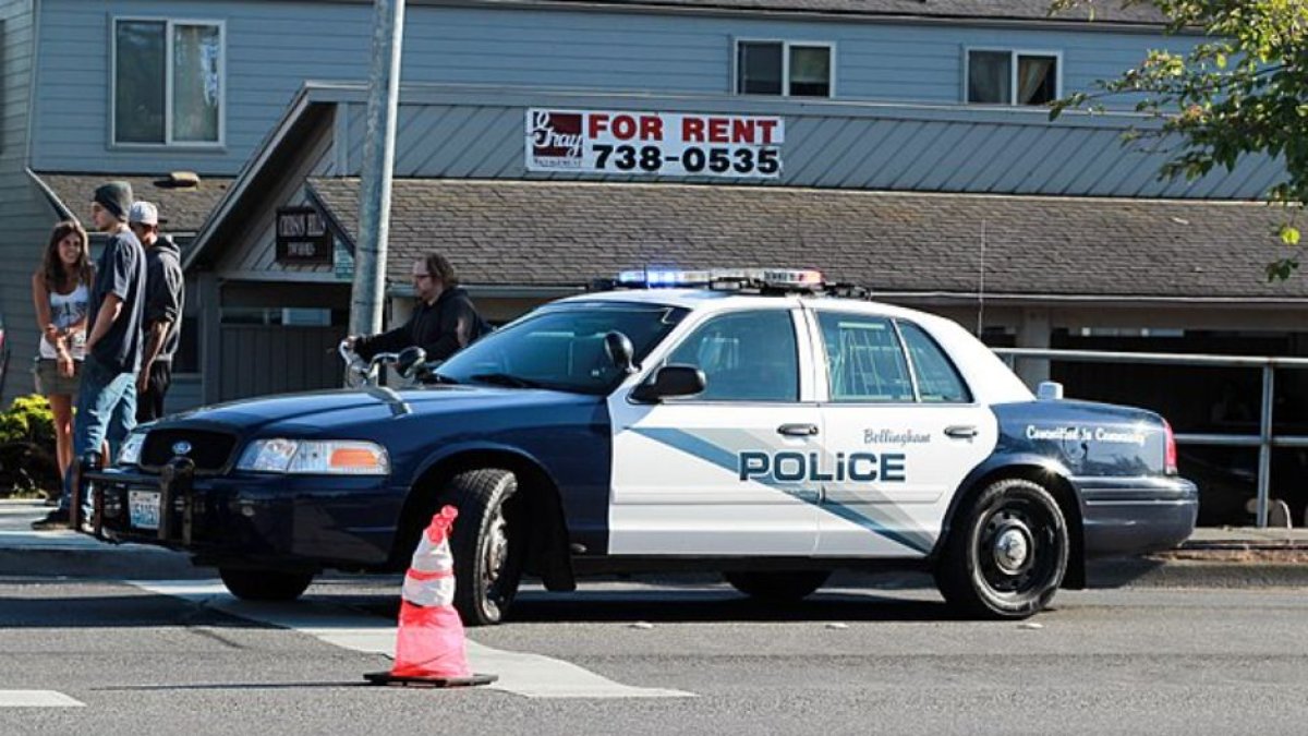 Photograph of an Alabama police car.