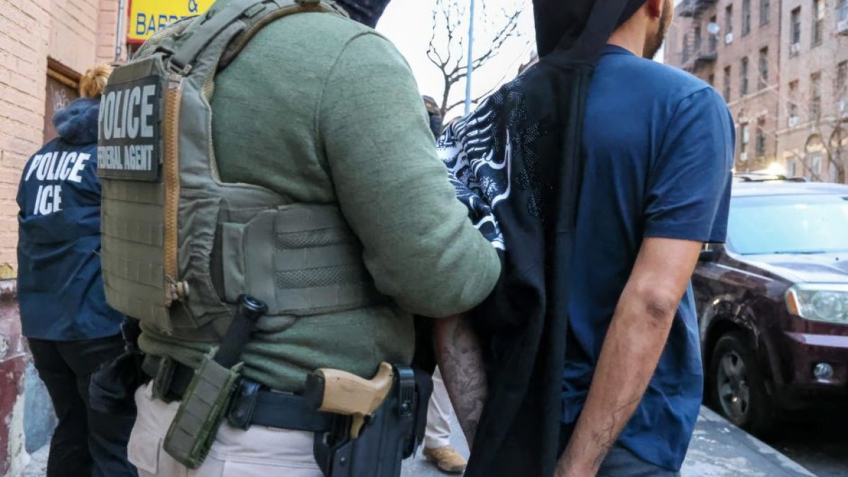 Tren de Aragua member arrested