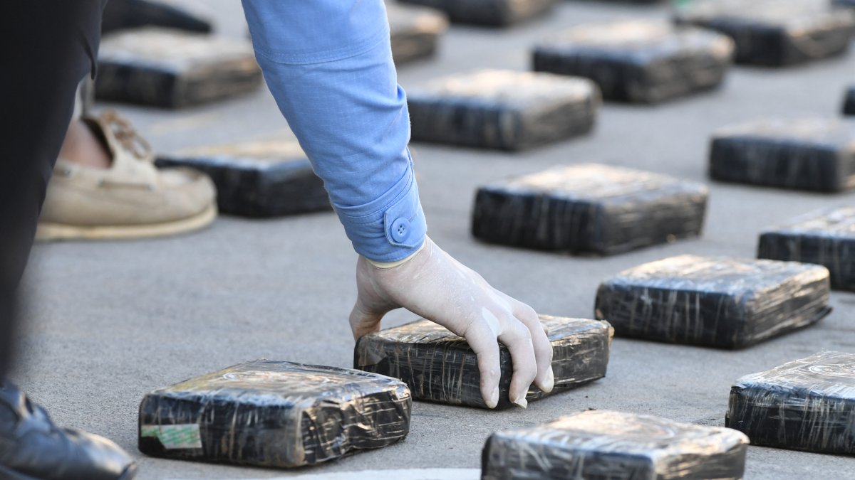 Cocaine packages seized