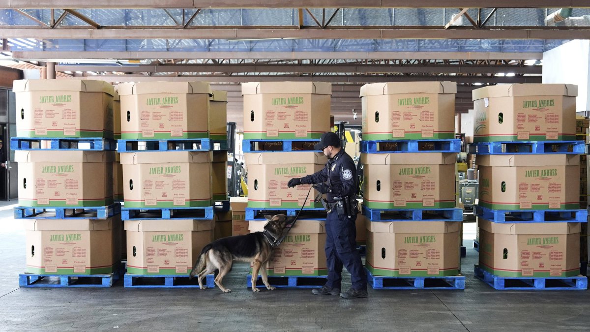 Un agente de la CBP y un agente canino.