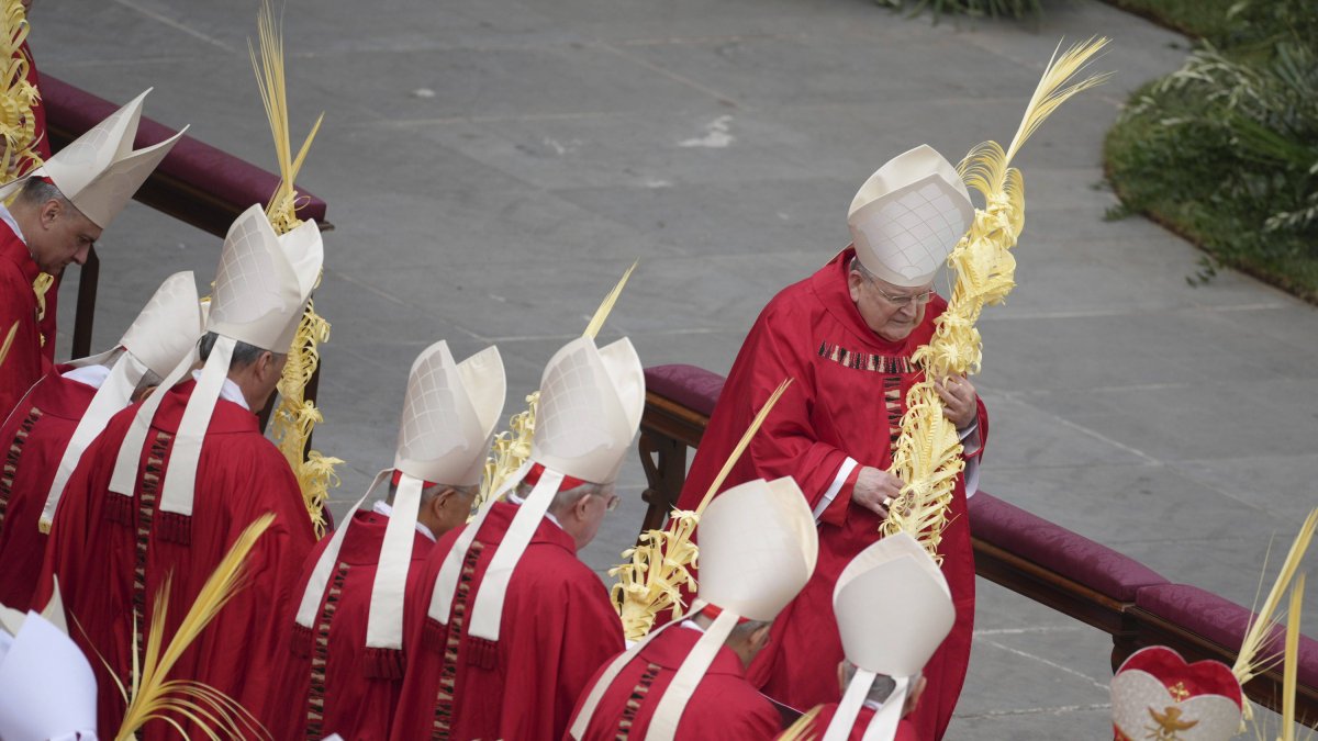 Burke avanza entre varios cardenales en la celebración del Domingo de Ramos