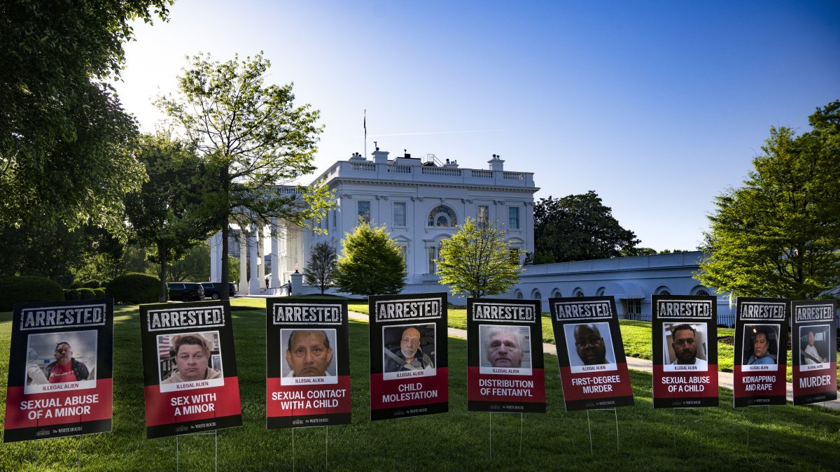 The signs with the faces of arrested immigrants on the driveway to the White House.