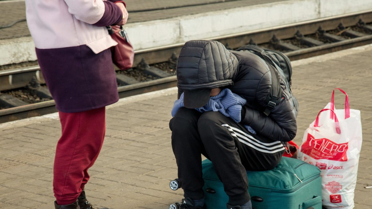 Millones de refugiados son obligados a moverse cada año de país