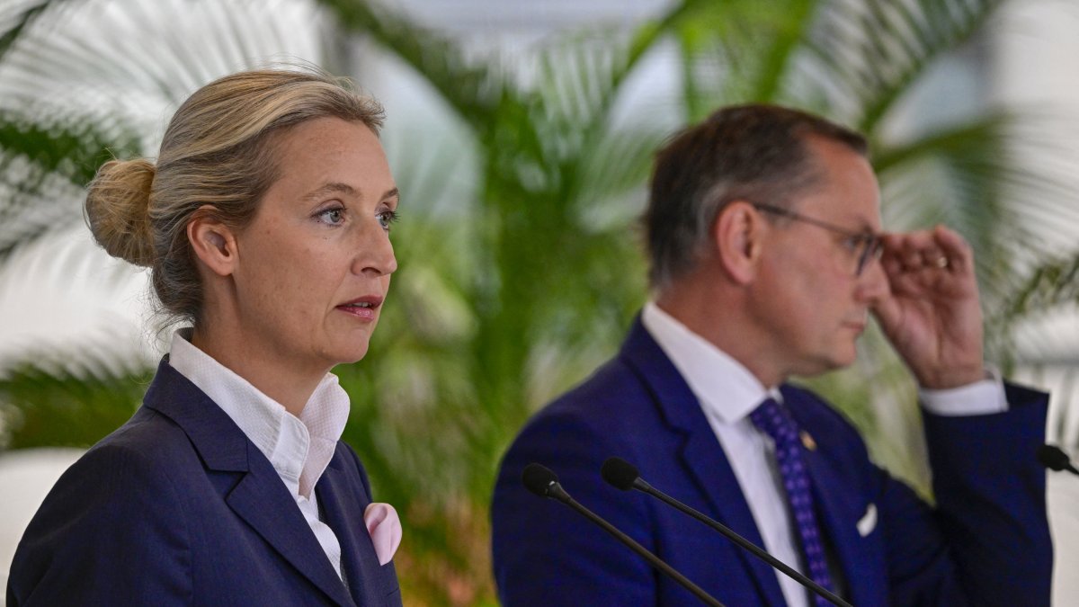 Alice Weidel y Tino Chrupalla, dirigentes de la AfD