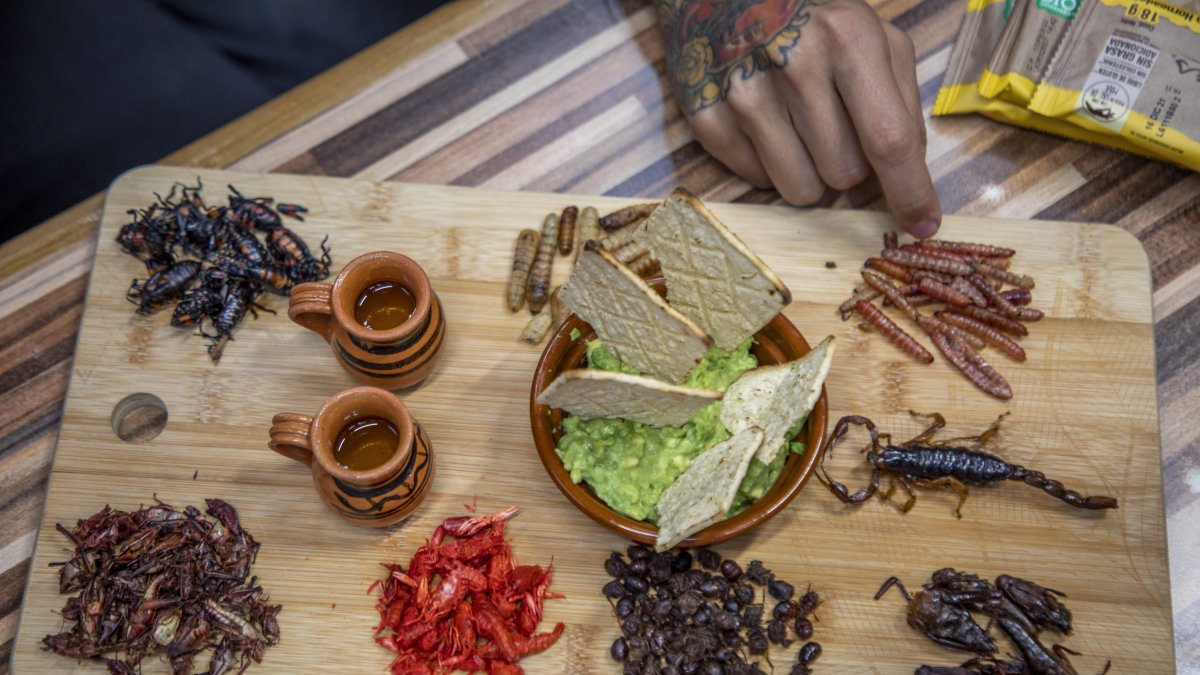 Insects served as appetizers