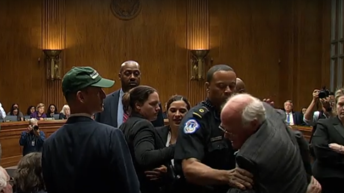 Robert Cohen arrestado en el Senado