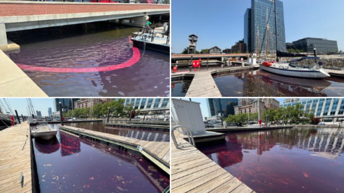 Departamento de Medio Ambiente de Maryland