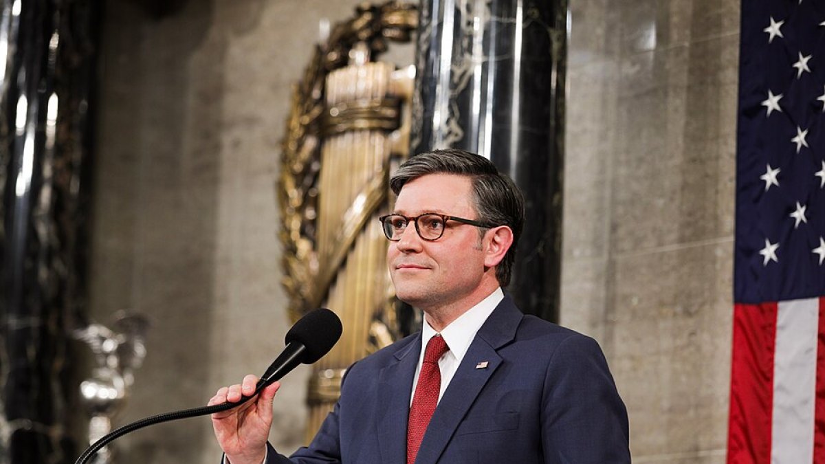 Johnson in the House