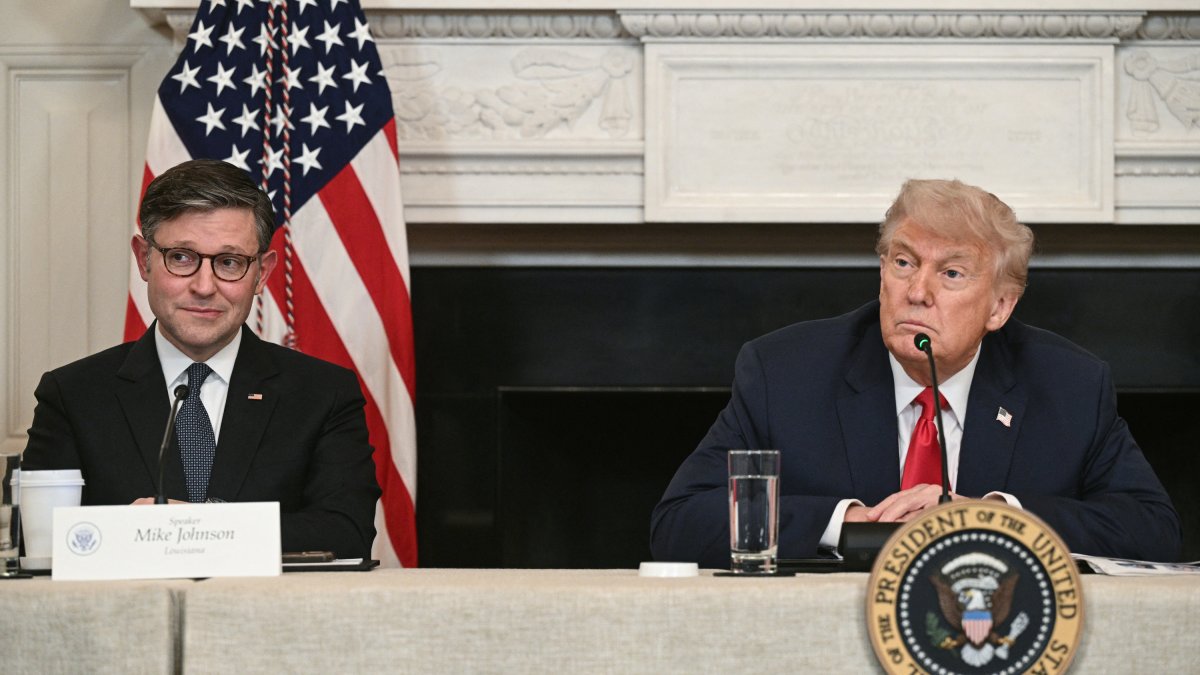 Trump and Johnson at the White House/ Brendan Smialowski.