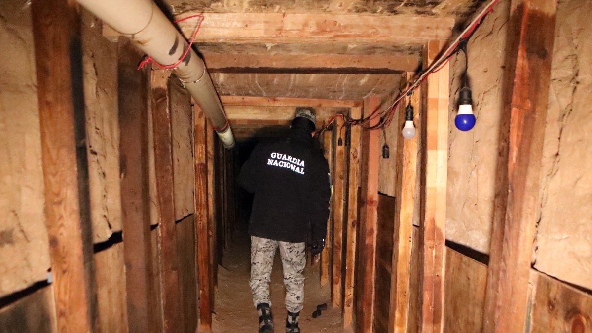 The Mexican National Guard discovers a 