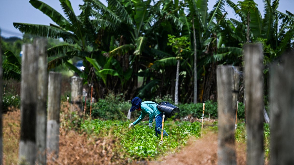 Un inmigrante en Homestead, Florida