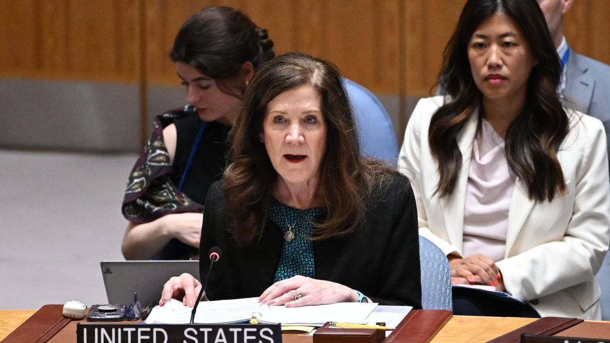 Dorothy Shea, interim U.S. ambassador to the United Nations