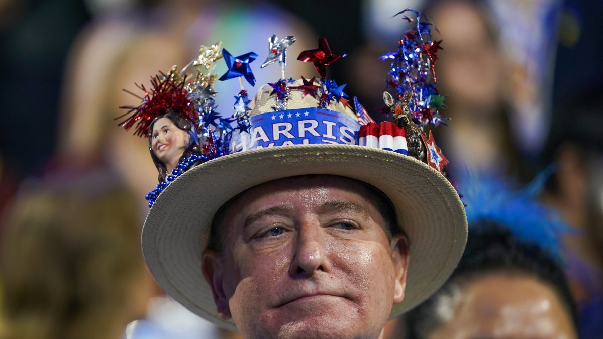 2024 Democratic National Convention