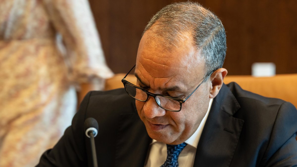 Badr Abdelatty, Egypt's foreign minister.