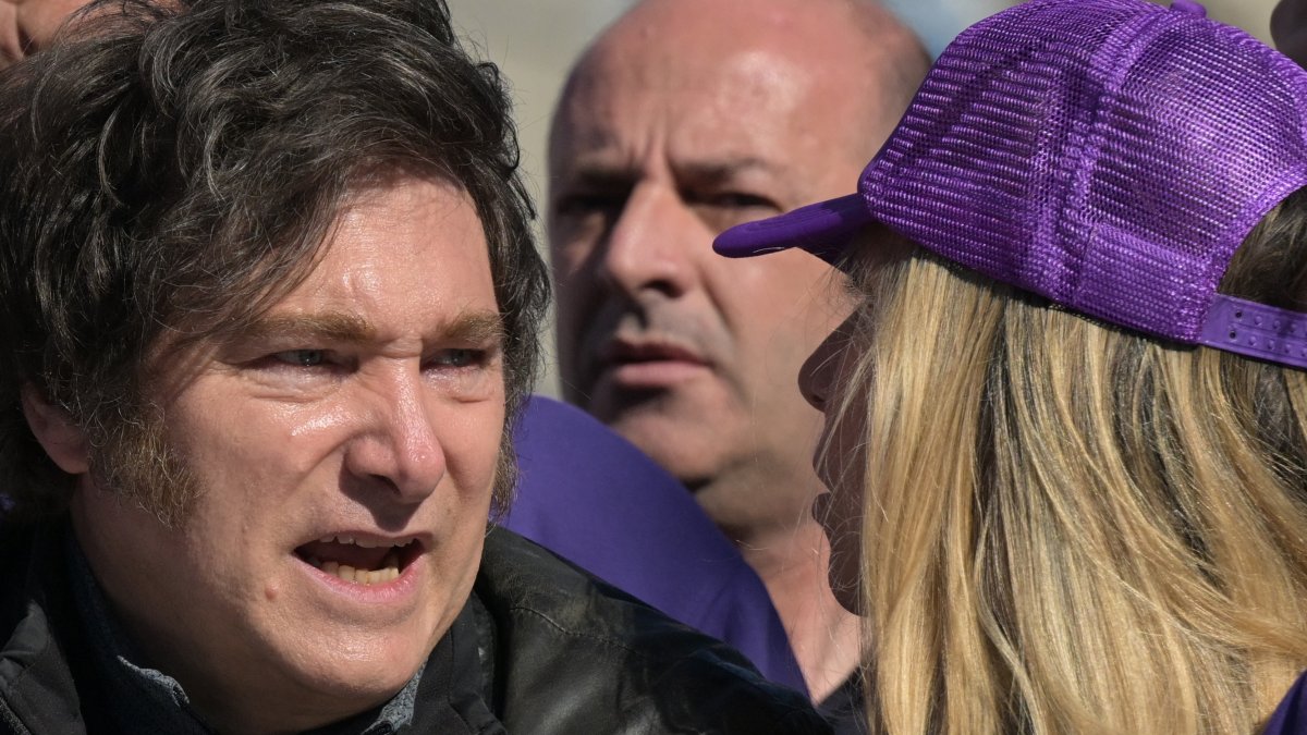 Javier Milei in a campaign caravan/ Juan Mabromata