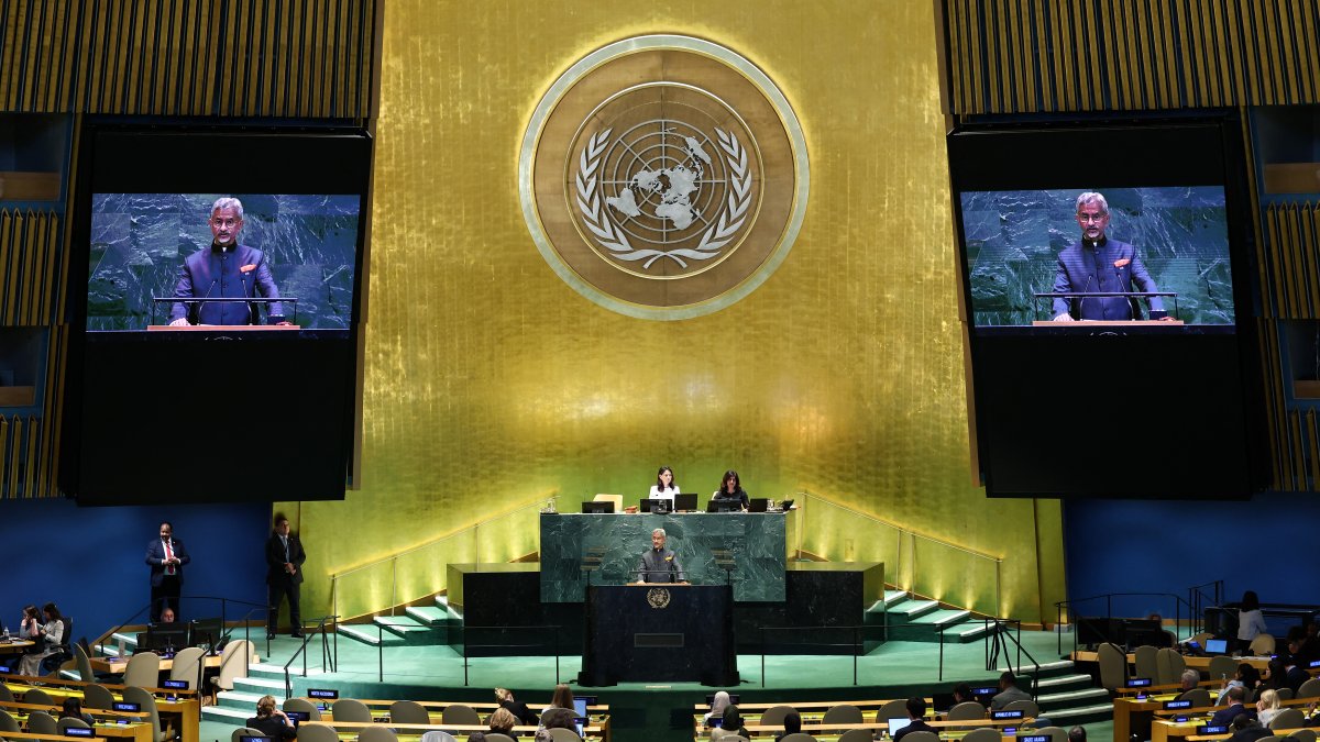 Asamblea General de las Naciones Unidas