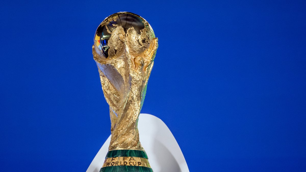FIFA World Cup Trophy. File image