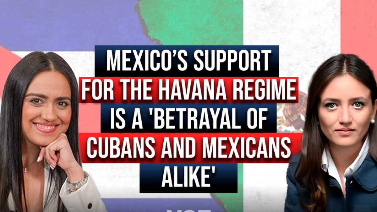 Interview with the Mexican lawyer Alicia Galván