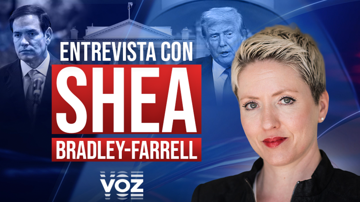 Shea Bradley-Farrell