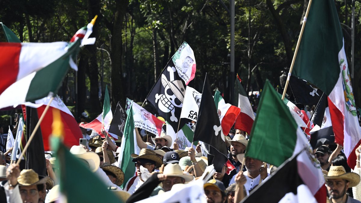 Protesta en la Ciudad de México/ Alfredo Estrella