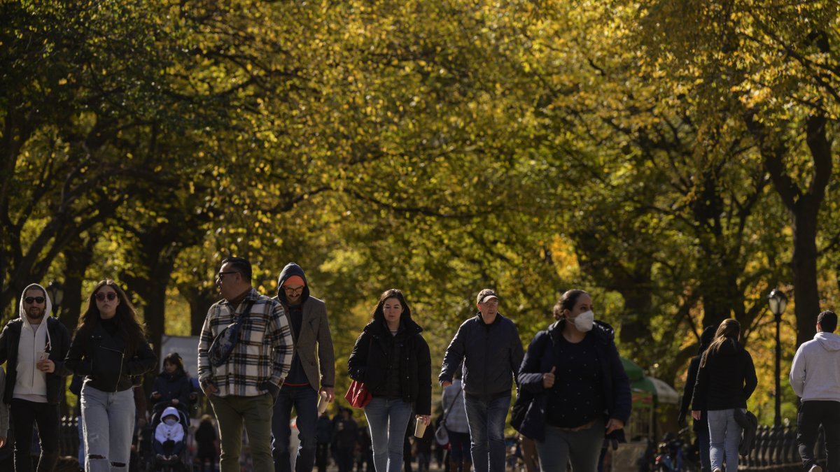 Varias personas caminan por Central Park (Nueva York). Imagen de archivo